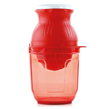 Juicer for Fruits and Vegetables