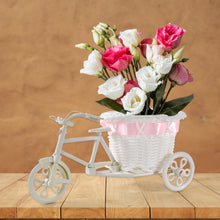 Plastic Cycle Flower Vases For Home Decor Bicycle Flower Pot Stand (1 Pc)